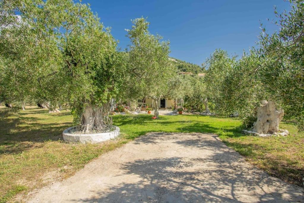 Anthia Private Studio A Breath Away From Beaches Áyios Nikítas Exteriör bild